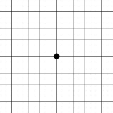 Duisdieker Meisterbetrieb Inh. Dirk F. Güttsches - Testen Sie Ihre Sehkraft mit dem Amsler-Test